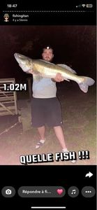 Zander