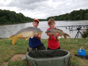 Mirror Carp