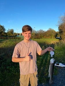 Rainbow Trout