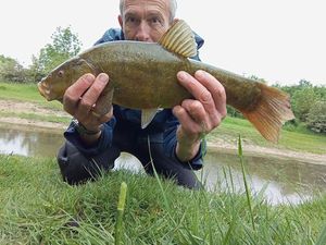 Tench