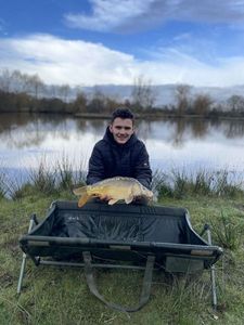 Mirror Carp