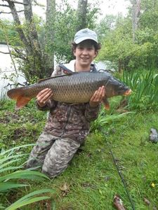 Common Carp