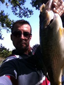Largemouth Bass