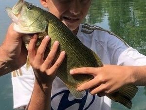 Largemouth Bass