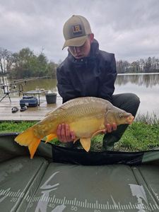 Mirror Carp