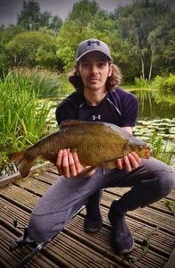 Common Bream