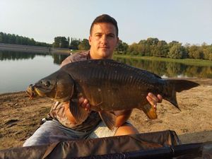 Mirror Carp