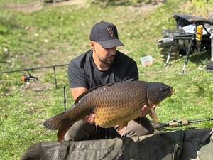 Common Carp