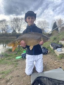 Mirror Carp