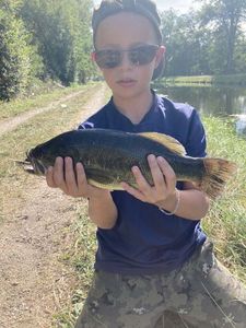 Smallmouth Bass
