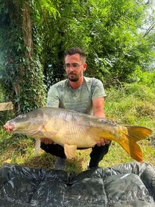 Mirror Carp