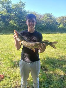 Northern Pike