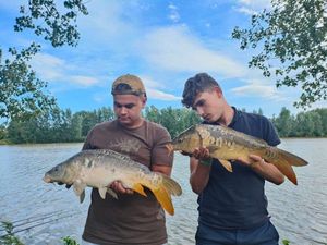 Mirror Carp