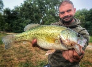 Largemouth Bass