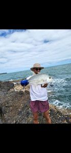 Giant Trevally (GT)