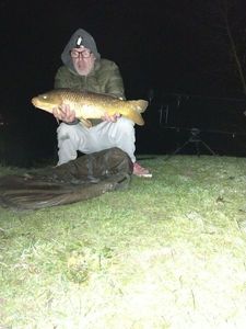 Common Carp