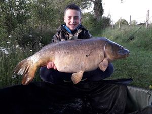 Leather Carp