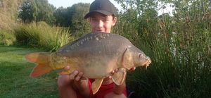 Mirror Carp