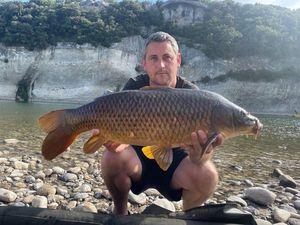 Common Carp