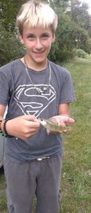 European Perch