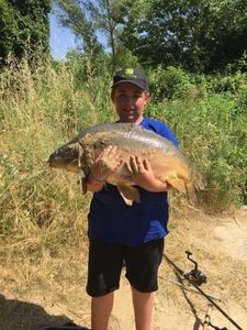 Mirror Carp