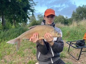 Common Bream
