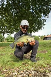 Largemouth Bass