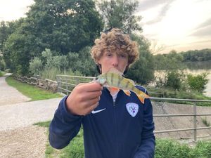 European Perch