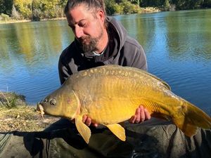 Mirror Carp