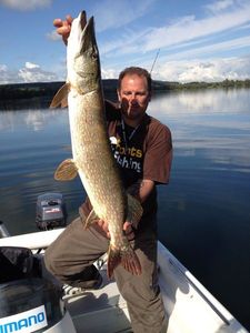 Northern Pike