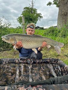 Grass Carp