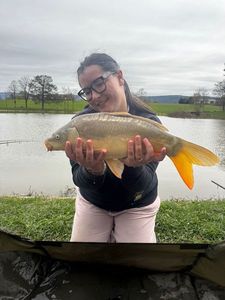 Mirror Carp
