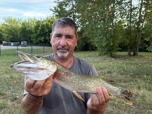 Northern Pike