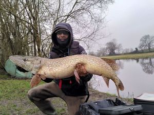 Northern Pike