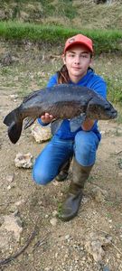 Mirror Carp