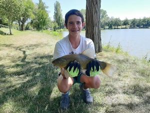 Tench