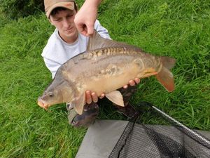 Mirror Carp