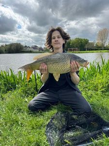 Common Carp