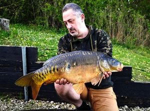 Mirror Carp