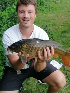 Common Carp