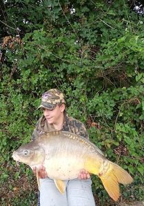 Mirror Carp