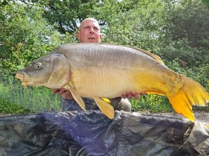 Mirror Carp