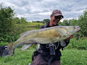 Zander