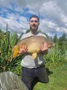 Mirror Carp