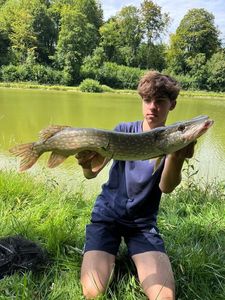Northern Pike