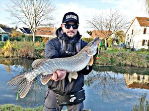 Northern Pike