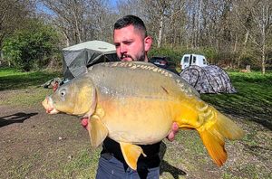 Mirror Carp