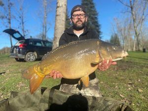 Mirror Carp