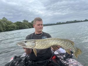 Northern Pike