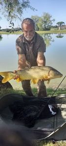 Common Carp